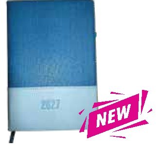 Diary #4, Blue