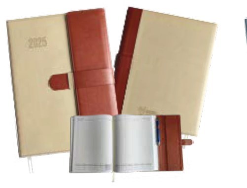 Corporate Collection Diary, Tan/Brown (Regular)
