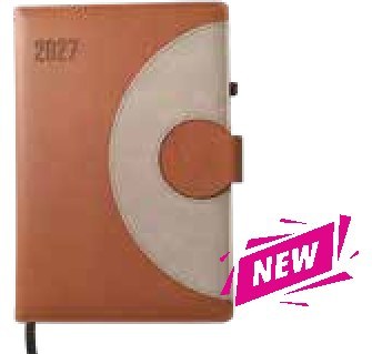 Diary 36-1, Brown
