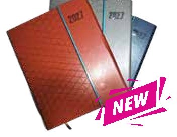 Diary 26-9, Brown, Blue & Red (Regular)