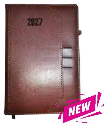Diary 17-3, Brown
