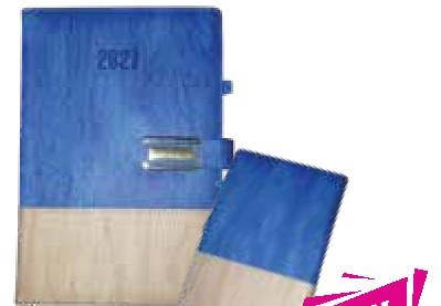 Diary #5, Blue (Regular)