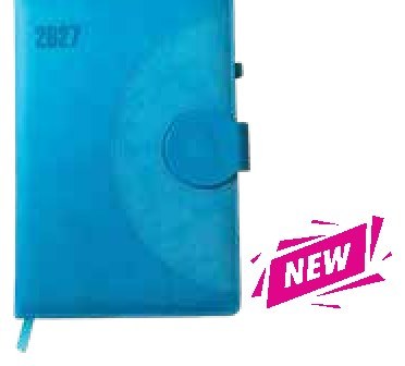 Diary 36-1, Blue