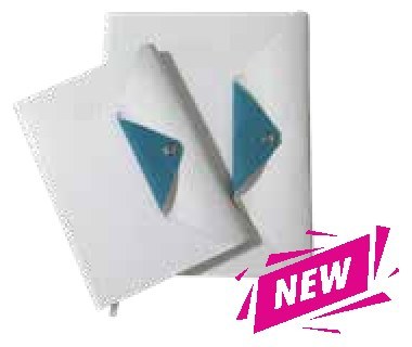 Diary 41-2, White/Teal (Lettersize)