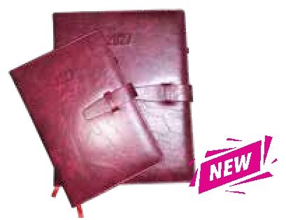 Diary #1, Red (Regular)