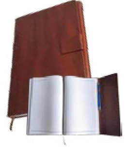 Executive Mahogany Diary