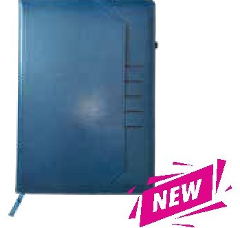 Journal 17-3, Blue