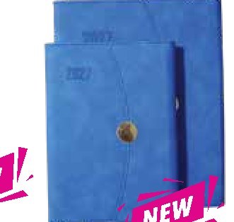 Diary 40-1, Blue (Lettersize)